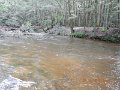 $Clarks Creek-007$