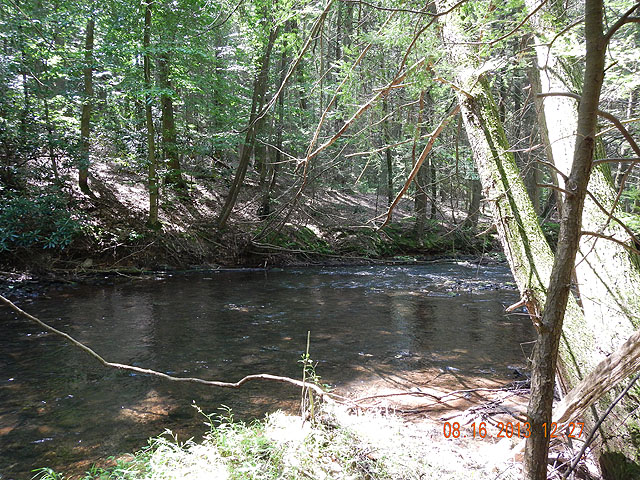 DSCN0016.jpg -                                