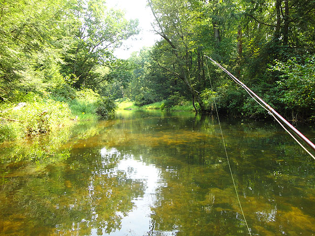 DSC01084.jpg - Water was low and slow but cool at about 65.8 degrees.                               
