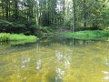 DSC01085
