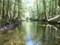 DSC01104