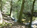 DSC01105