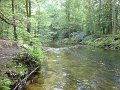 DSC01109