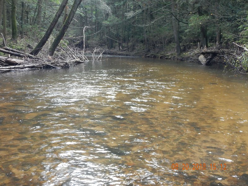 $Clarks Creek-001$.jpg - Big Hole at the drive-in.  I'm sure it holds fish but nothing biting today.  Water still really high from the recent rains.
