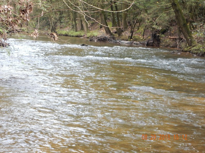 $Clarks Creek-009$.jpg - Check the debris in the tree in the upper left corner of the pic.  The water was that high!  Yep, just a couple days ago I'd be standing in water over my head.