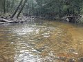$Clarks Creek-001$