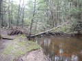 $Clarks Creek-002$