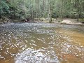 $Clarks Creek-006$
