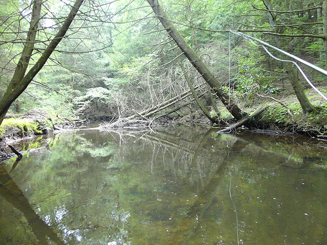 DSC01132.jpg -                                Then I moved a ways down stream
