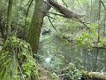 DSC01128