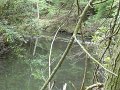 DSC01129