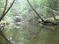 DSC01132