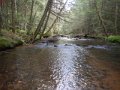 DSCN0429