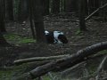 DSC01150