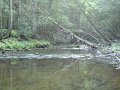 DSC01151