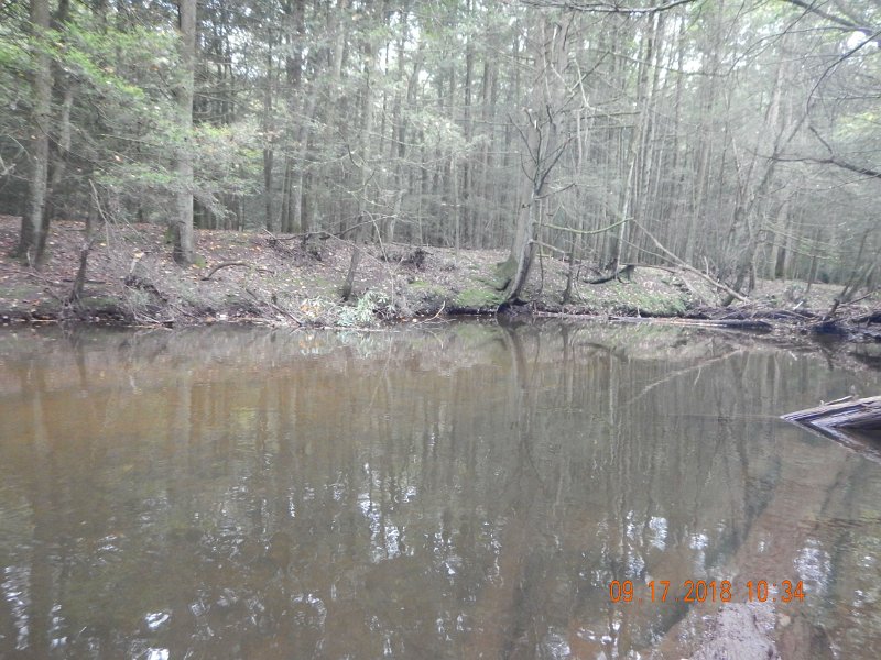 $ClarksCreek005$.jpg - Water was like glas in some places.  Not a fish rising.  This is the deep hole.  Lost one here.