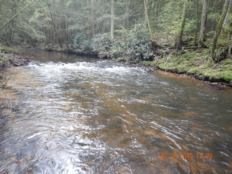 $ClarksCreek007$.jpg - This is a good change.  Free flowing water.  I missed 8 fish on the far side of the stream.  Could have been one fish 8 times but, who knows?