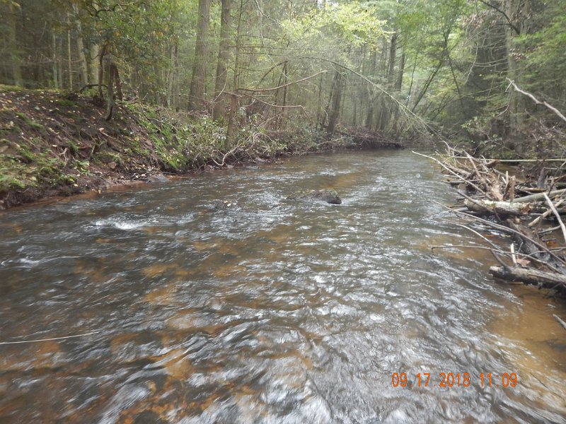 $ClarksCreek008$.jpg - This is a stretch that has changed due to the high water.  Now it looks great