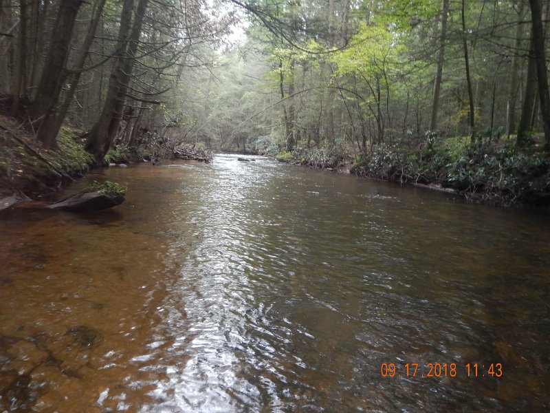 $ClarksCreek012$.jpg - This is going to be beautiful brookie water if the coming rains don't change it once again.