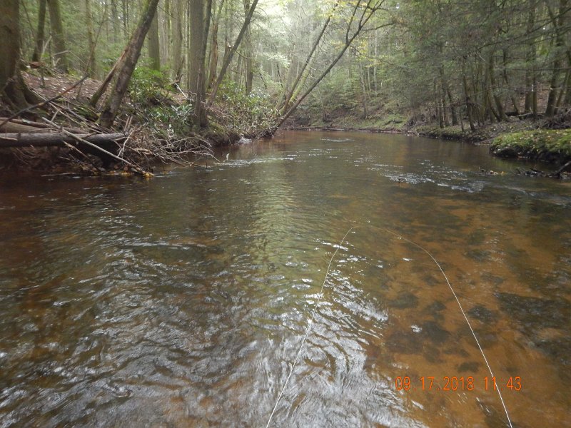 $ClarksCreek013$.jpg - With many of the logs either pushed down stream or pushed to the side of the stream the water is free to flow normally.