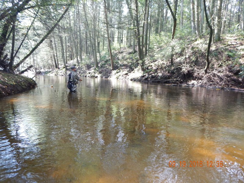 $ClarksCreek005$.jpg - Normally there's a small riffle below  where Gary is standing...not today.