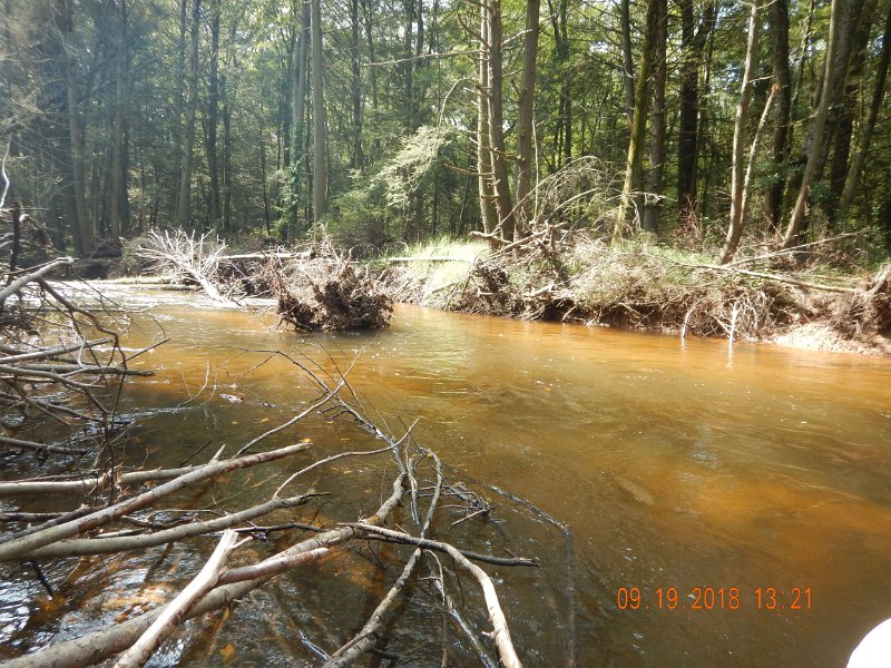 $ClarksCreek010$.jpg - Floods sure have changed this part of the stream.