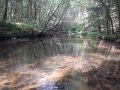 DSCN0461