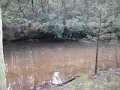 DSCN0464