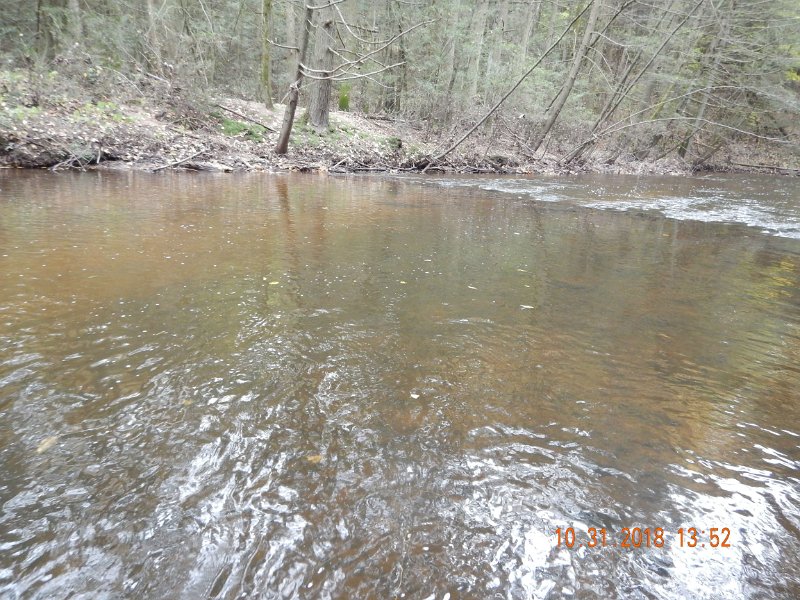 $Clarks004$.jpg - He came from one of the deep holes we usually like to fish.