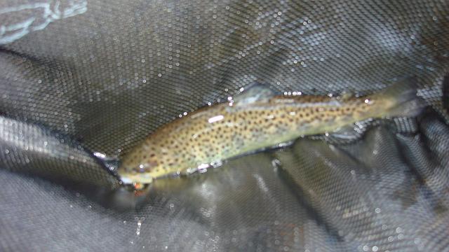 DSC02551.JPG