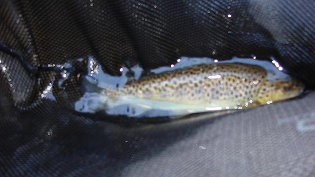 DSC02554.JPG
