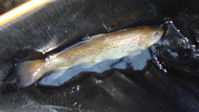 DSC02557.JPG