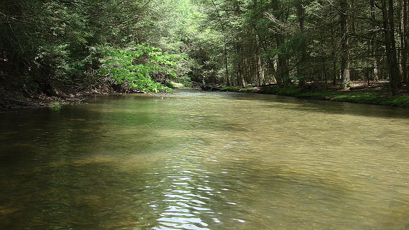 DSC02708.JPG