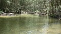 DSC02709