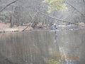 DSCN0782