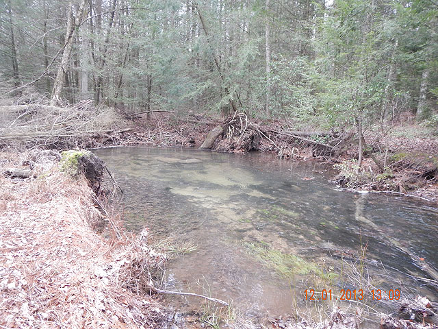 DSCN0264.jpg -                                Looks like plenty of deep water areas to hold fish.