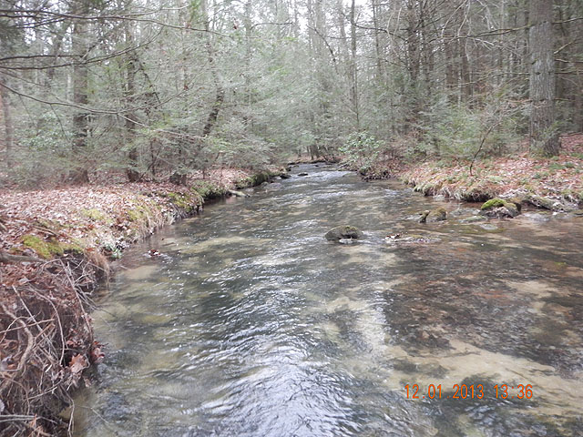 DSCN0267.jpg -                                Yep, I'd love to see this during the April, May warm up. Some bugs would make the water come alive.
