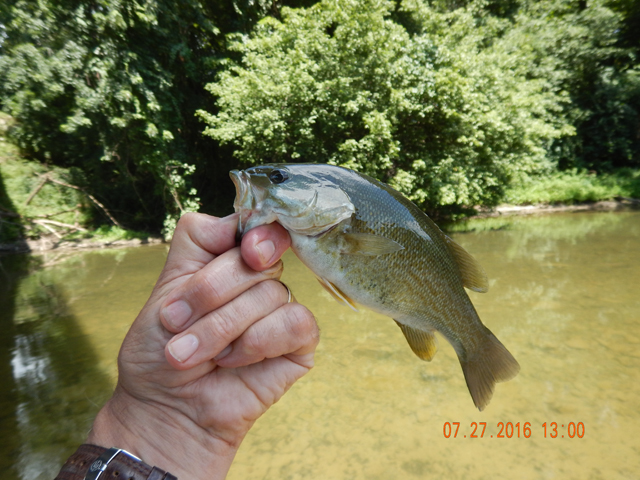 DSCN1571.jpg -                                
