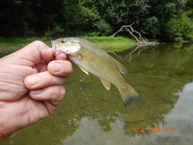 DSCN1574.jpg -                                