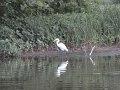 DSC01028