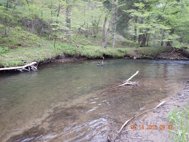 DSCN1248.jpg -                                And, I got it from a pretty accessable hole.  Past experience says that the Commission is going to dump fish where it's easiest for them, not best for the fish or the fishermen.