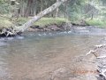 DSCN1250