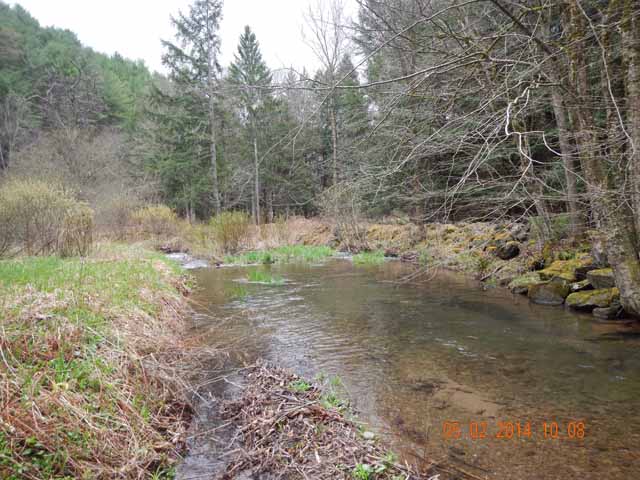 DSCN0544.jpg -                                Creek was full from runoff but certainly a pleasure to fish.