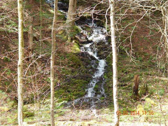 DSCN0555.jpg -                                Scenic