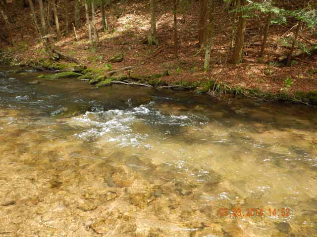 DSCN0584.jpg -                                