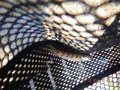 DSCN0556