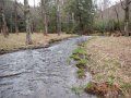 DSCN0569