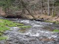 DSCN0586