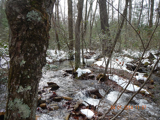DSCN0438.jpg -                                Doc Smith Run after 2 inches of rain and some snow melt.