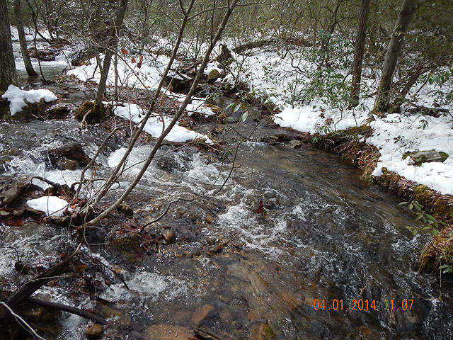 DSCN0439.jpg -                                Stream should hold native brookies but its hard to tell how much water should be in the stream in light of the recent wet weather.